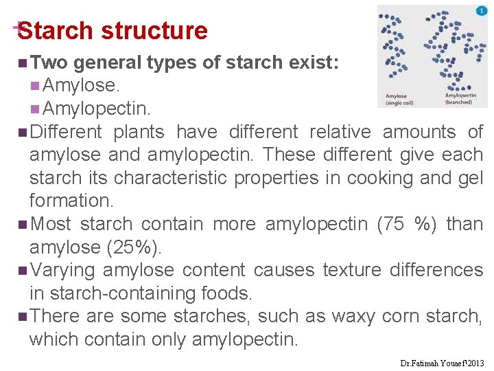 +Starch structure n Two general types of starch exist: n Amylose. n Amylopectin. n