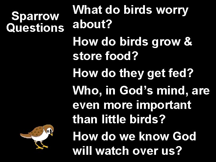 What do birds worry Sparrow Questions about? How do birds grow & store food?