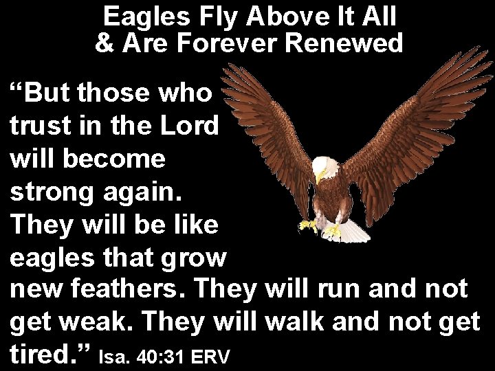 Eagles Fly Above It All & Are Forever Renewed “But those who trust in