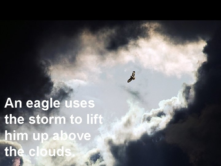 An eagle uses the storm to lift him up above the clouds. 