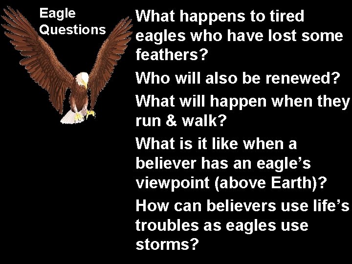 Eagle Questions What happens to tired eagles who have lost some feathers? Who will