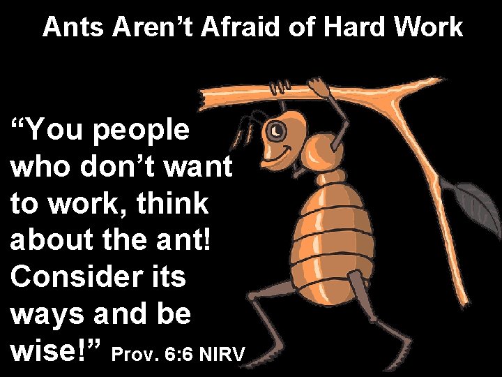 Ants Aren’t Afraid of Hard Work “You people who don’t want to work, think