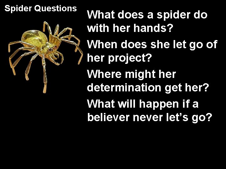 Spider Questions What does a spider do with her hands? When does she let