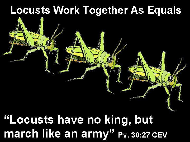 Locusts Work Together As Equals “Locusts have no king, but march like an army”