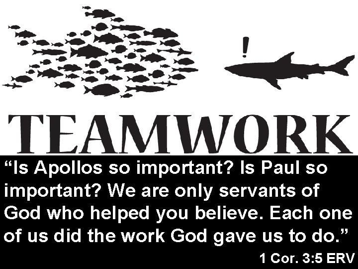 “Is Apollos so important? Is Paul so important? We are only servants of God