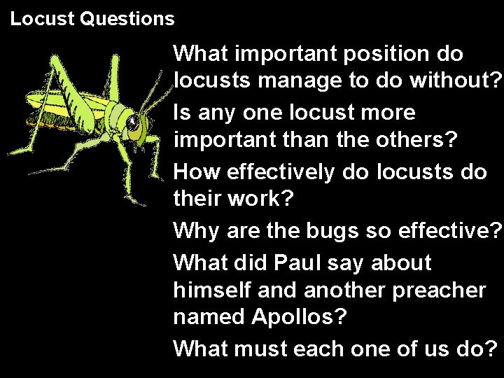 Locust Questions What important position do locusts manage to do without? Is any one