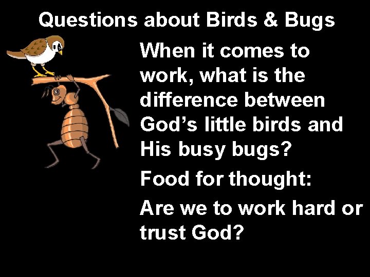 Questions about Birds & Bugs When it comes to work, what is the difference