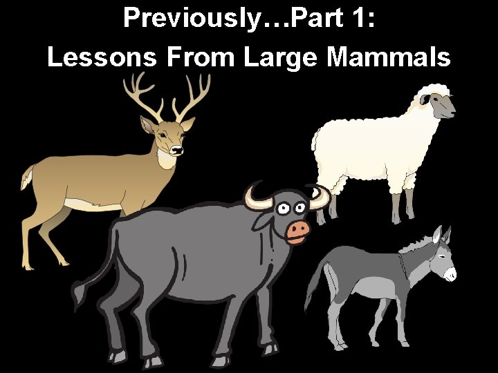 Previously…Part 1: Lessons From Large Mammals 