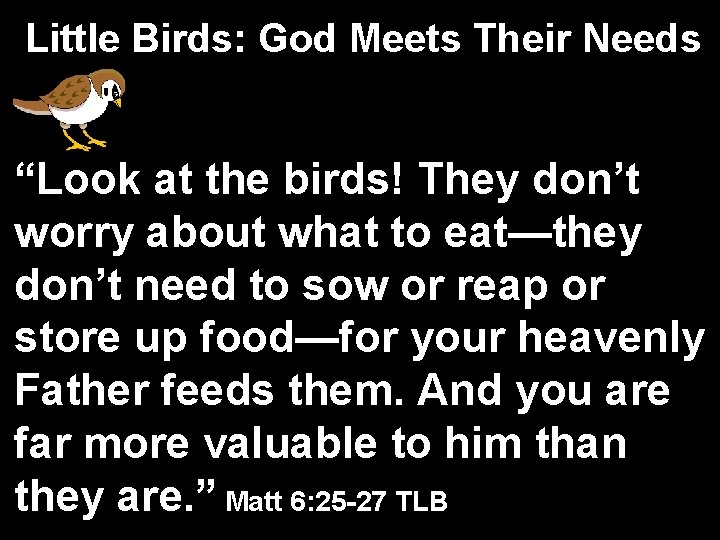 Little Birds: God Meets Their Needs “Look at the birds! They don’t worry about