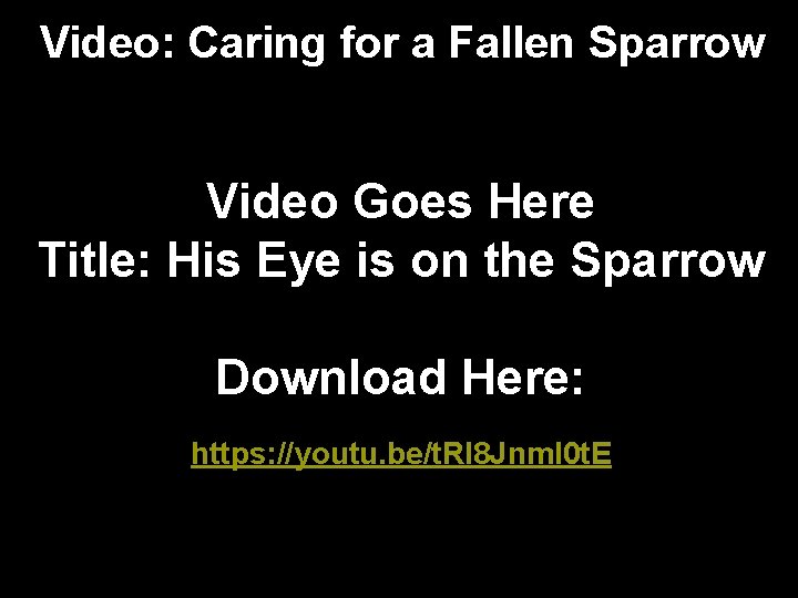 Video: Caring for a Fallen Sparrow Video Goes Here Title: His Eye is on