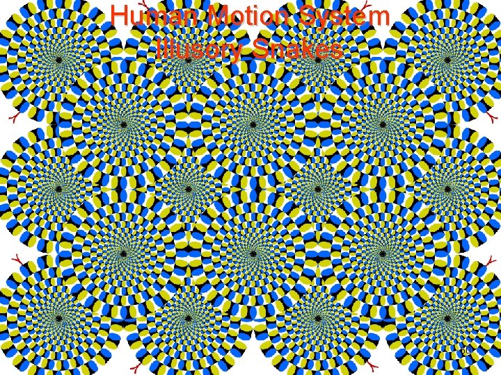 Human Motion System Illusory Snakes 60 