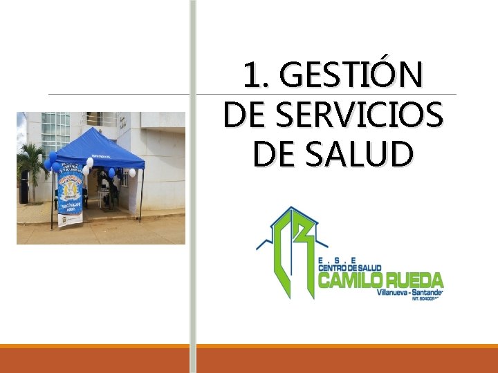 1. GESTIÓN DE SERVICIOS DE SALUD 