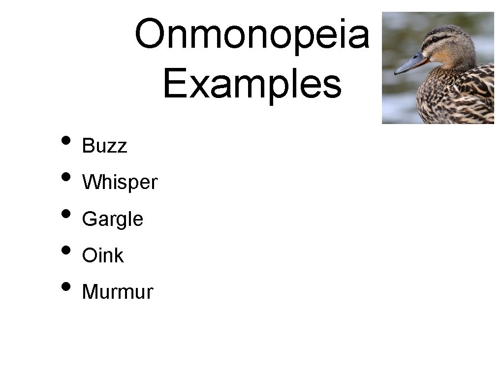 Onmonopeia Examples • Buzz • Whisper • Gargle • Oink • Murmur 