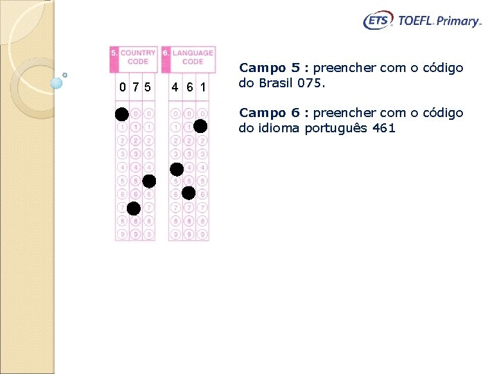 0 75 4 6 1 Campo 5 : preencher com o código do Brasil