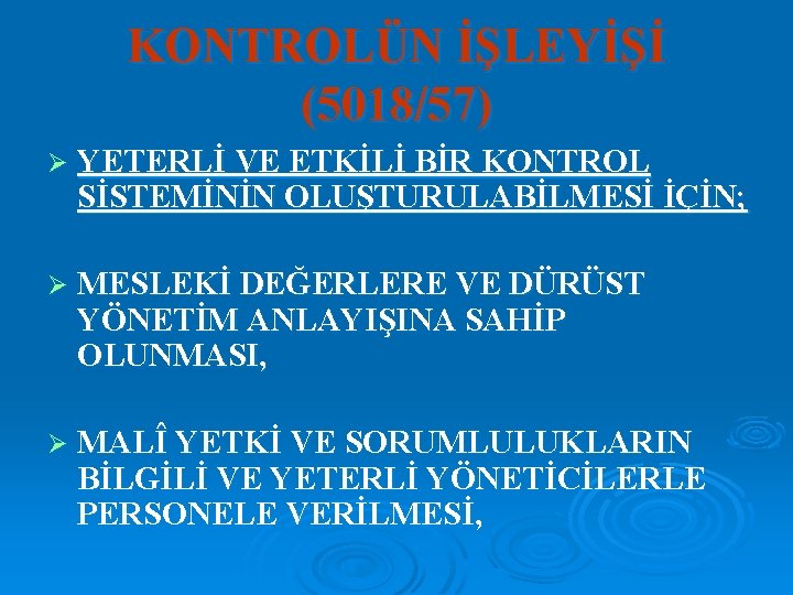 KONTROLÜN İŞLEYİŞİ (5018/57) Ø YETERLİ VE ETKİLİ BİR KONTROL SİSTEMİNİN OLUŞTURULABİLMESİ İÇİN; Ø MESLEKİ