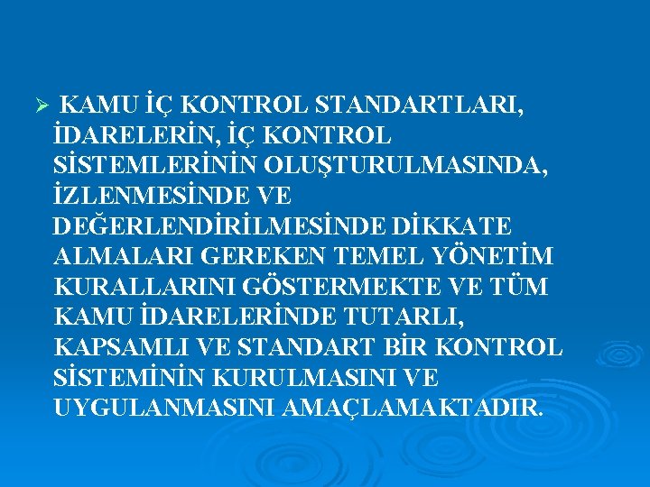 KAMU İÇ KONTROL STANDARTLARI, İDARELERİN, İÇ KONTROL SİSTEMLERİNİN OLUŞTURULMASINDA, İZLENMESİNDE VE DEĞERLENDİRİLMESİNDE DİKKATE ALMALARI