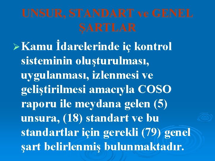 UNSUR, STANDART ve GENEL ŞARTLAR Ø Kamu İdarelerinde iç kontrol sisteminin oluşturulması, uygulanması, izlenmesi