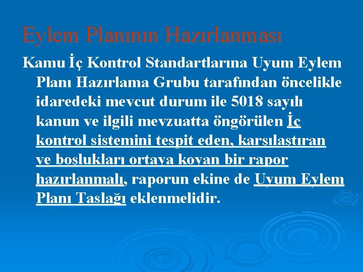 Eylem Planının Hazırlanması Kamu İç Kontrol Standartlarına Uyum Eylem Planı Hazırlama Grubu tarafından öncelikle