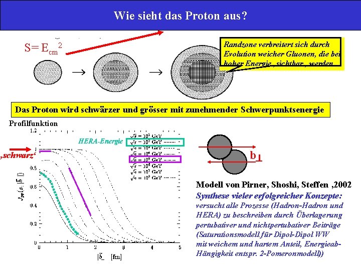 Wie sieht das Proton aus? Randzone verbreitert sich durch Evolution weicher Gluonen, die bei