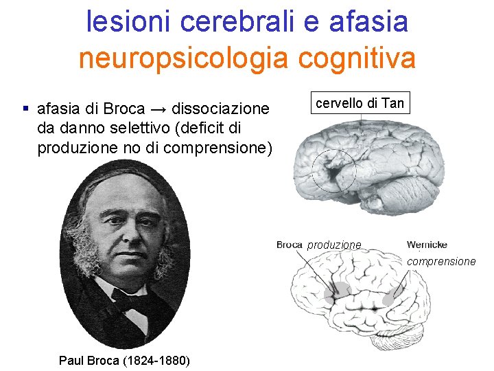 lesioni cerebrali e afasia neuropsicologia cognitiva § afasia di Broca → dissociazione da danno