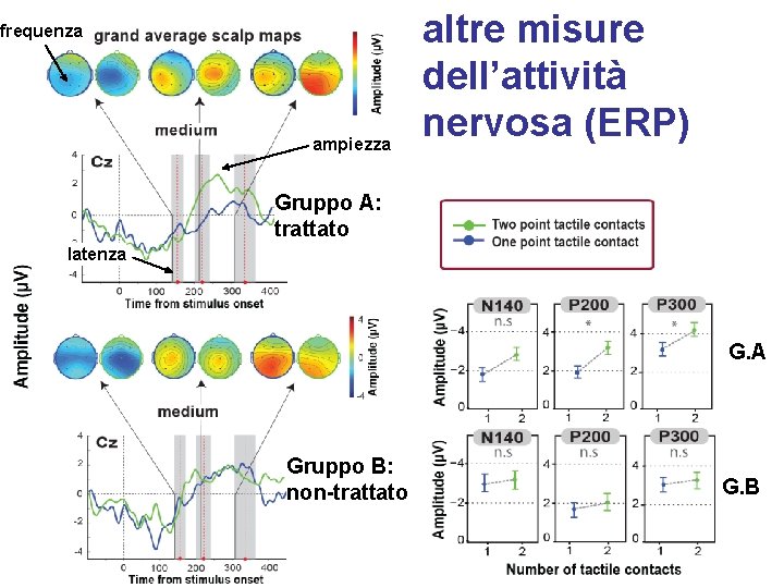 frequenza ampiezza altre misure dell’attività nervosa (ERP) Gruppo A: trattato latenza G. A Gruppo