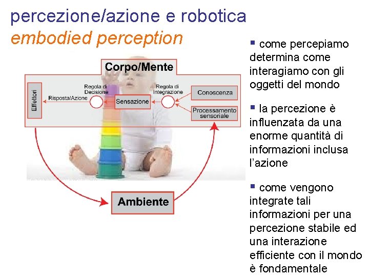 percezione/azione e robotica embodied perception § come percepiamo determina come interagiamo con gli oggetti