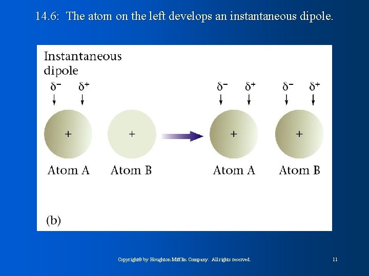 14. 6: The atom on the left develops an instantaneous dipole. Copyright© by Houghton