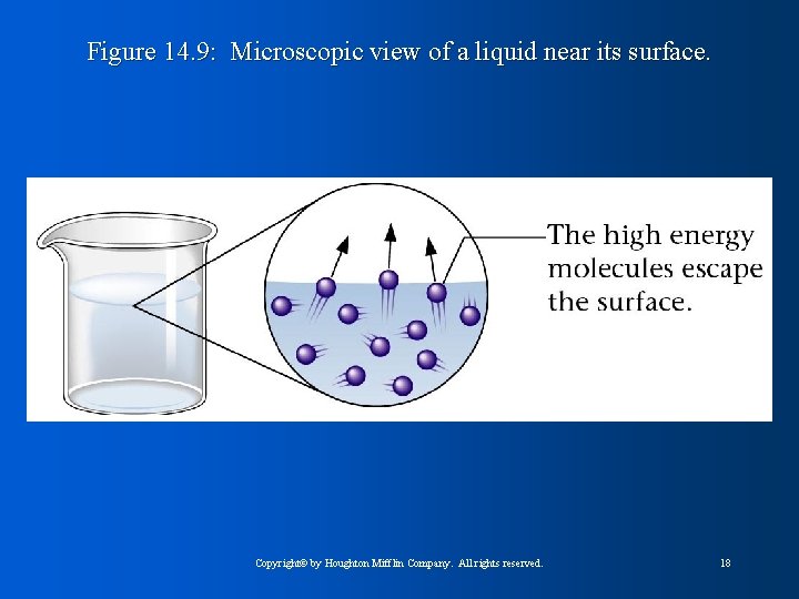 Figure 14. 9: Microscopic view of a liquid near its surface. Copyright© by Houghton