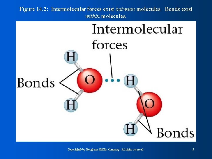 Figure 14. 2: Intermolecular forces exist between molecules. Bonds exist within molecules. Copyright© by