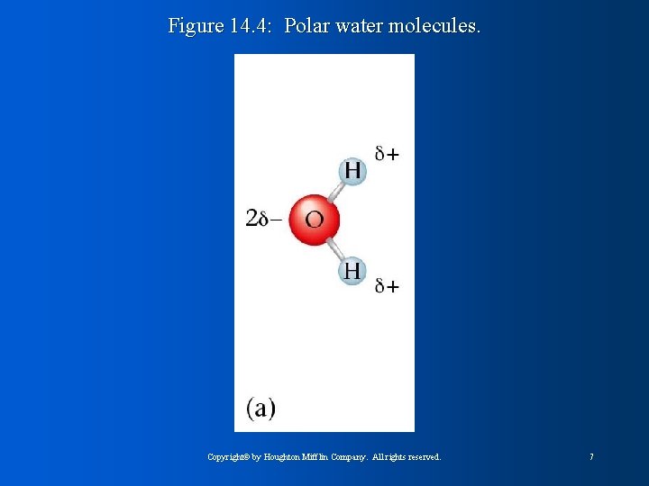 Figure 14. 4: Polar water molecules. Copyright© by Houghton Mifflin Company. All rights reserved.