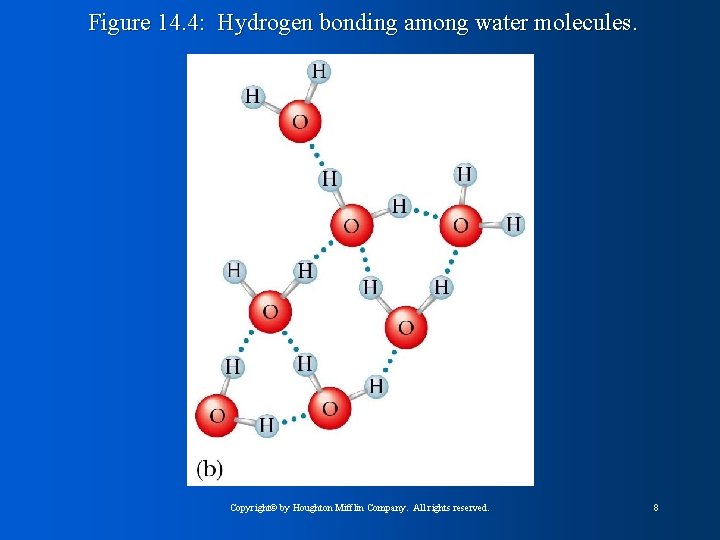 Figure 14. 4: Hydrogen bonding among water molecules. Copyright© by Houghton Mifflin Company. All