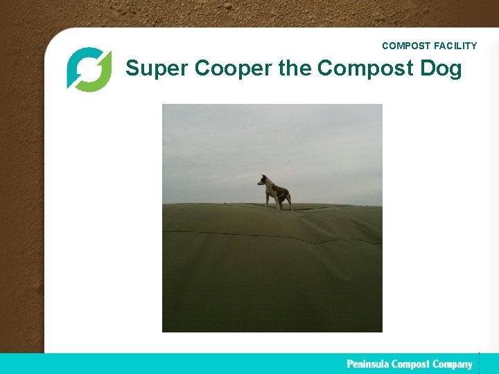 COMPOST FACILITY Super Cooper the Compost Dog 