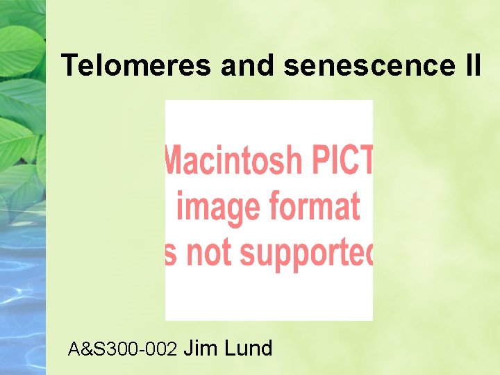 Telomeres and senescence II A&S 300 -002 Jim Lund 