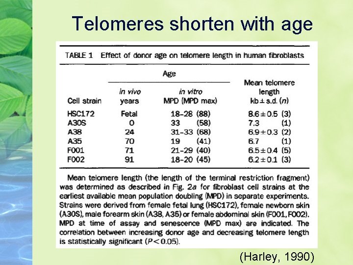 Telomeres shorten with age (Harley, 1990) 