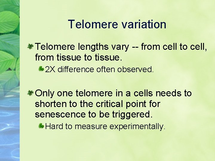 Telomere variation Telomere lengths vary -- from cell to cell, from tissue to tissue.