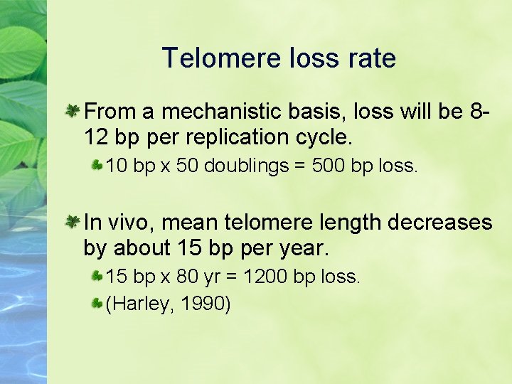 Telomere loss rate From a mechanistic basis, loss will be 812 bp per replication