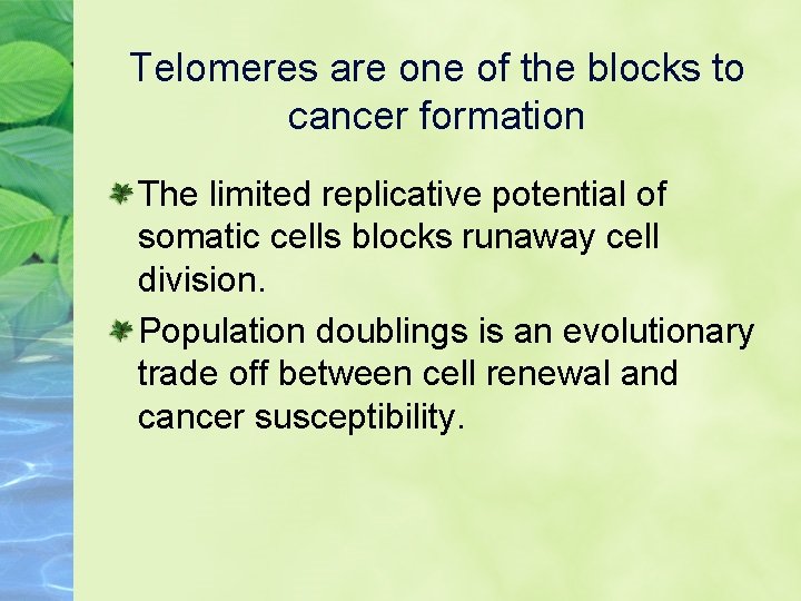 Telomeres are one of the blocks to cancer formation The limited replicative potential of