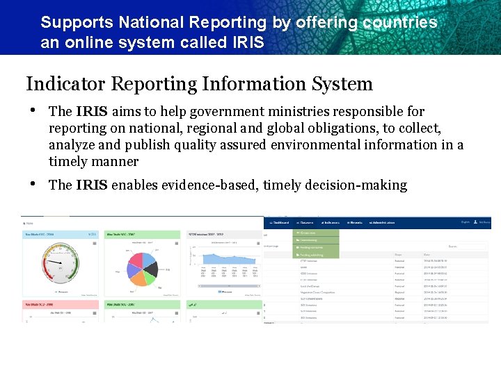 Supports National Reporting by offering countries an online system called IRIS Indicator Reporting Information