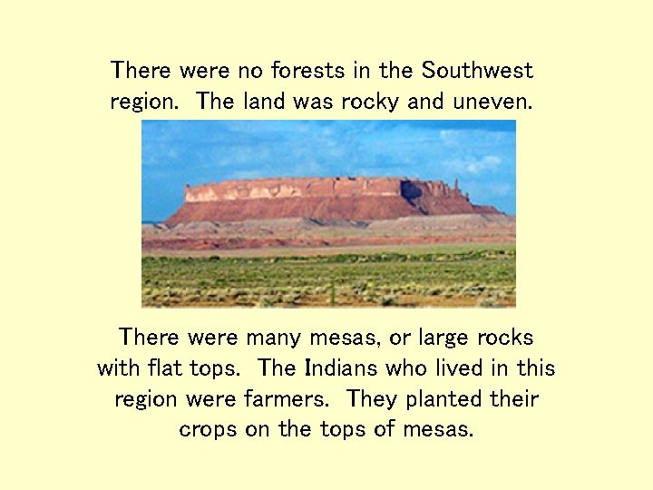 There were no forests in the Southwest region. The land was rocky and uneven.