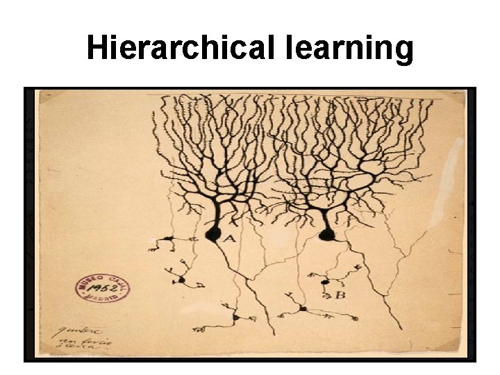 Hierarchical learning 