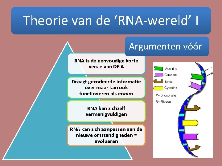 Theorie van de ‘RNA-wereld’ I Argumenten vóór RNA is de eenvoudige korte versie van