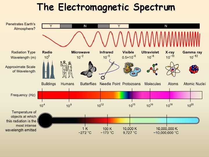 The Electromagnetic Spectrum 