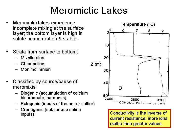 Meromictic Lakes • Meromictic lakes experience incomplete mixing at the surface layer; the bottom Meromictic Lakes • Meromictic lakes experience incomplete mixing at the surface layer; the bottom