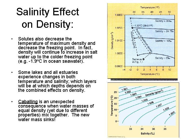 Salinity Effect on Density: • Solutes also decrease the temperature of maximum density and Salinity Effect on Density: • Solutes also decrease the temperature of maximum density and