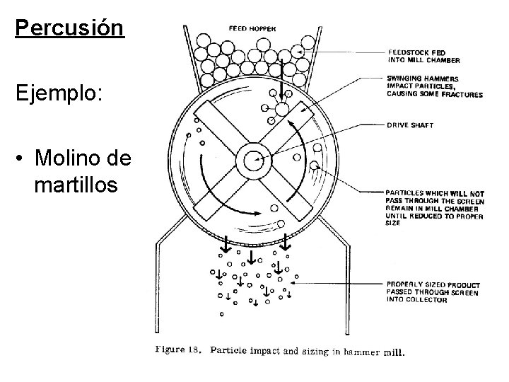 Percusión Ejemplo: • Molino de martillos Percusión Ejemplo: • Molino de martillos