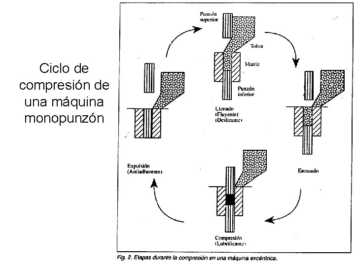 Ciclo de compresión de una máquina monopunzón Ciclo de compresión de una máquina monopunzón