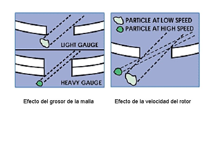 Efecto del grosor de la malla Efecto de la velocidad del rotor Efecto del grosor de la malla Efecto de la velocidad del rotor