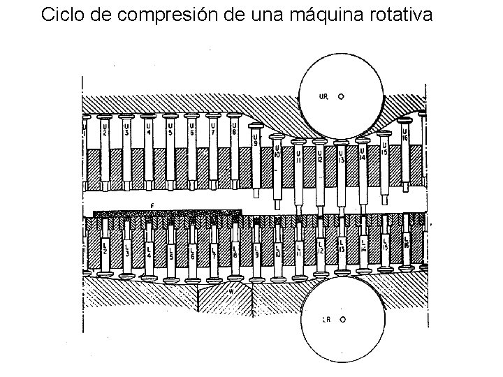 Ciclo de compresión de una máquina rotativa Ciclo de compresión de una máquina rotativa