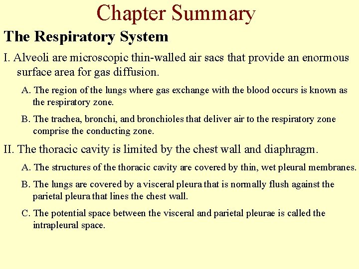Chapter Summary The Respiratory System I. Alveoli are microscopic thin-walled air sacs that provide Chapter Summary The Respiratory System I. Alveoli are microscopic thin-walled air sacs that provide