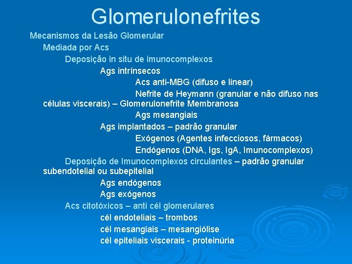 Glomerulonefrites Mecanismos da Lesão Glomerular Mediada por Acs Deposição in situ de imunocomplexos Ags Glomerulonefrites Mecanismos da Lesão Glomerular Mediada por Acs Deposição in situ de imunocomplexos Ags